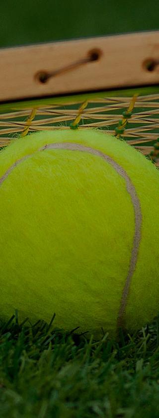 Тенісний корт з покриттям штучна трава